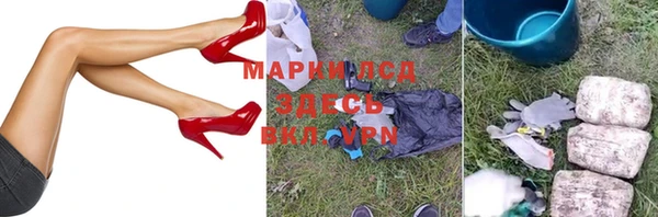 гидра Ельня