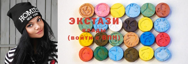 гидра Ельня
