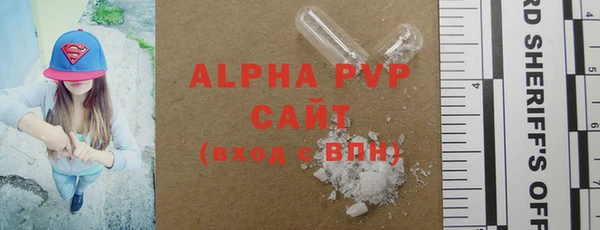 гидра Ельня