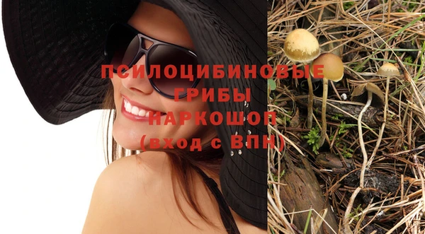 гидра Ельня