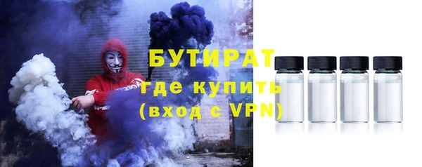 гидра Ельня