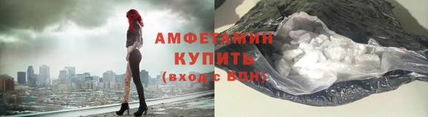 гидра Ельня