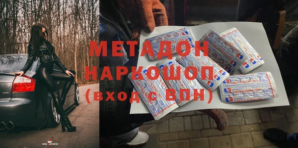 гидра Ельня