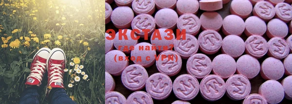 гидра Ельня
