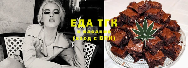 гидра Ельня