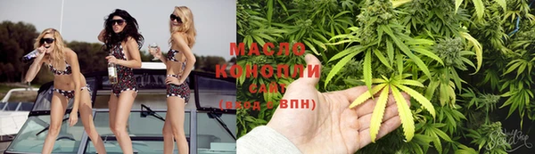 гидра Ельня