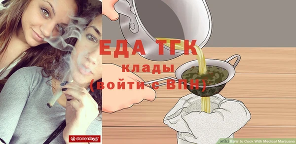 гидра Ельня