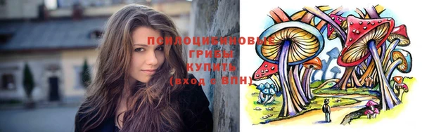 гидра Ельня