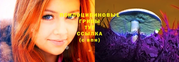 mix Елизово