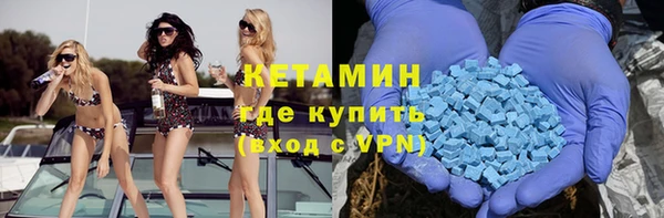 гидра Ельня