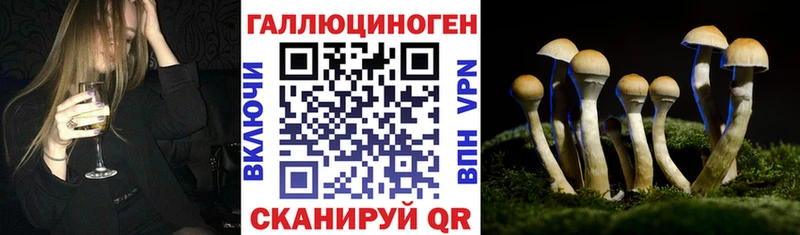 Галлюциногенные грибы Magic Shrooms  Купить закладки  Шебекино 